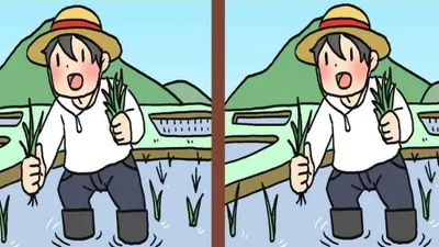 Tes Penglihatan: Temukan 3 Perbedaan di Gambar Petani dalam Waktu 15 Detik!
