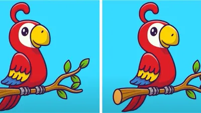 Tes Penglihatan: Yuk Asah Analisa Kamu, Coba Temukan 3 Perbedaan Pada Burung Macaw Ini (Jagran Josh)