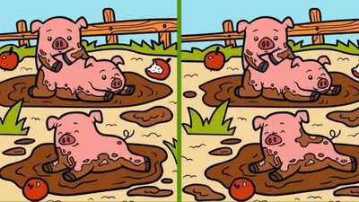 Tes IQ: Ada 3 Perbedaan pada Gambar Anak Babi Bermain Lumpur Ini, Kamu Melihatnya? Uji Kemampuan Observasi (Jagran Josh)