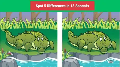 Tes IQ: Suka Tantangan? Coba Temukan 5 Perbedaan pada Gambar Buaya Ini, Kerahkan Kemampuan Detektif Kamu