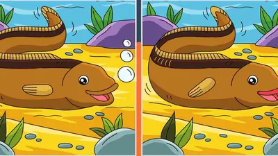 Tes Penglihatan: Yuk Uji Ketelitian Kamu, Coba Temukan 8 Perbedaan pada Gambar Belut Ini