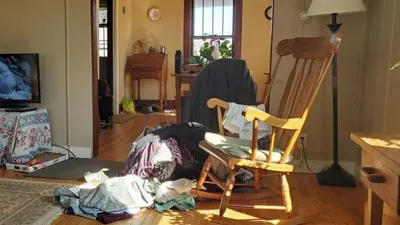 Tes IQ dalam 11 Detik: Hanya 1 Persen Orang Bisa Menemukan Kucing dalam Gambar Ilusi Optik Ini