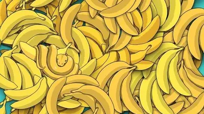 Tes Penglihatan: Ada Ular yang Bersembunyi di Antara Pisang, Bisa Kamu Menemukannya? Uji Kemampuan Observasi