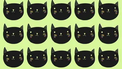 Tes Penglihatan: Uji Kemampuan Observasi, Bisa Temukan 1 Kucing yang Berbeda? 