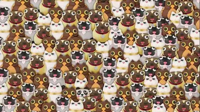 Tes Ilusi Optik: Temukan Panda di Antara Kucing, Anjing, dan Burung Hantu, Sanggup?