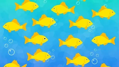 Tes IQ: Bisakah Kamu Menemukan Ikan Aneh di Gambar dalam Waktu 3 Detik?