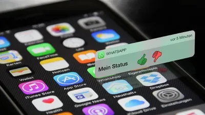 Tips WhatsApp: Cara Melihat Status WA Tanpa Ketahuan Pemiliknya, Cukup Klik Pengaturan Ini
