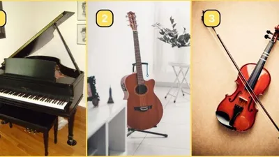 Tes Kepribadian Alat Musik yang Kamu Pilih Bisa Ungkap Kepribadian