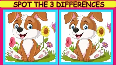 Tes IQ: Taklukan Teka-teki Ini! Temukan 3 Perbedaan pada Gambar Anjing di Kebun Bunga dan Tunjukkan Kemampuan Observasimu