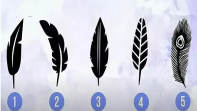 Terdapat 5 bulu yang berbeda dan diberi nomor masing-masing bulunya. Pilihlah sebuah bulu di antara nomor 1 hingga 5!