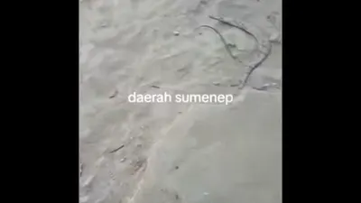 Terdengar suara dentuman keras dari bawah tanah tersebut menghebohkan warga desa di Kabupaten Sumenep, Jawa Timur.