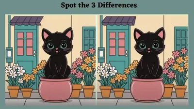Tes IQ menemukan perbedaan pada kedua gambar kucing yang hampir mirip.