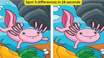 Tes IQ: Asah Kemampuan Observasi Kamu, Coba Temukan 3 Perbedaan pada Gambar Salamander