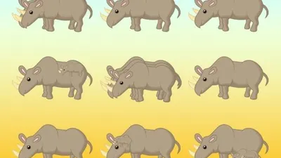 Tes IQ: Coba Tebak Ada Berapa Badak Dalam Gambar, Jawab 9 Sudah Pasti Salah!