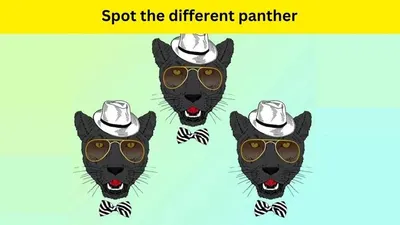 Tes IQ: Ingin Mengasah Kemampuan Analisa? Coba Temukan 1 Perbedaan pada Gambar Black Panther Ini