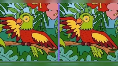 Tes IQ: Seberapa Cerdas dan Teliti Kamu? Cari Tahu dengan Temukan 3 Perbedaan di Gambar Burung Beo, Waktunya 10 Detik!