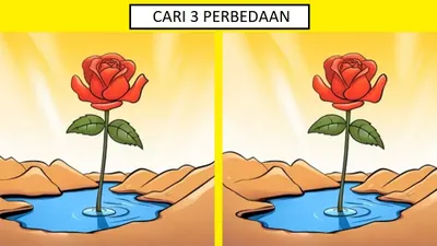 Pada tantangan tes IQ kali ini, akan memintamu untuk menemukan 3 perbedaan dari gambar yang identik. Silakan dicoba ya.