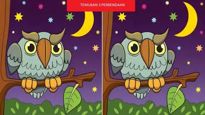 Tes IQ ini dilakukan dengan bantuan dua gambar burung hantu yang hampir identik. Kamu diminta untuk menemukan perbedaan di antara keduanya.