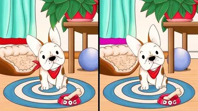 Tes IQ: Temukan 5 Perbedaan dari Kedua Gambar Ini, Uji Ketelitian Mata Kamu!