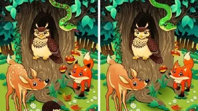 Tes IQ kali ini berupa teka-teki menemukan perbedaan di antara kedua gambar yang hampir identik dan sengaja diletakkan secara berdampingan.
