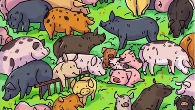 Tes Ilusi Optik: Temukan Kuda Nil di antara Kumpulan Babi dalam Waktu 10 Detik