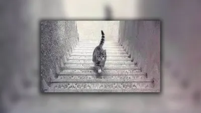 Jawabanmu tentu akan mengungkapkan bagaimana sifat dan karakter asli dalam dirimu. Penasaran? Yuk cari tahu selengkapnya.