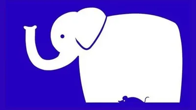 Tes Kepribadian Lihat Gambar Tikus atau Gajah Jawabanmu Ungkap Sifat dan Karakter Asli dalam Dirimu