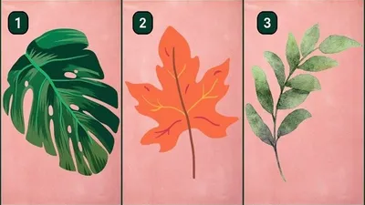 Tes Kepribadian: Pilih Satu Gambar Daun Berikut dan Ketahui Karakter yang Kamu Miliki