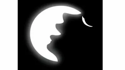 Gambar tes kepribadian ini merupakan gambar dua wajah dengan salah satu adalah wajah berwarna hitam dan satu lagi berwarna putih.