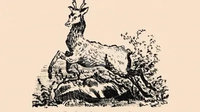 Tes Optik: Temukan Gambar Anjing yang Tersembunyi di Balik Gambar Vintage Rusa Ini dalam Waktu 11 Detik!