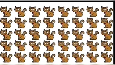 Jawaban Tes Penglihatan: Jangan Ngaku Si Mata Elang Sebelum Berhasil Temukan Kucing Paling Berbeda pada Gambar, Waktumu 10 Detik!