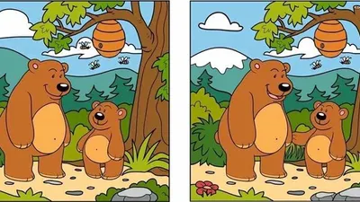 Tes Penglihatan Suka Tantangan Sulit Coba Temukan 12 Perbedaan dari Gambar Beruang Ini