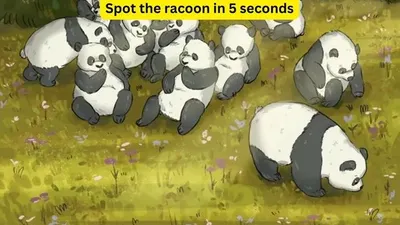 Tes Penglihatan: Temukan 1 Rakun di Antara para Panda dalam Waktu 5 Detik