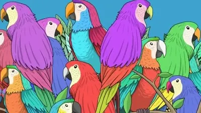 Tes Penglihatan: Temukan Kupu-kupu di Antara Kumpulan Burung, Uji Kemampuan Visual Kamu