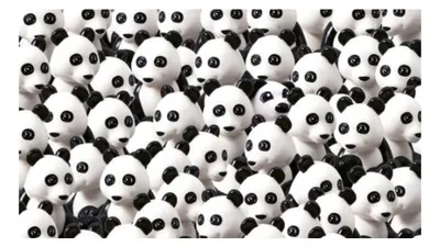 Tes IQ: Temukan Anjing di Antara Panda Dalam 7 Detik