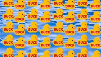 Tes Penglihatan: Seberapa Cepat Kamu Bisa Temukan Kata DUCK di Antara Deretan Kata BUCK