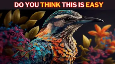 Tes Penglihatan: Coba Temukan Kupu-kupu Pada Gambar Burung
