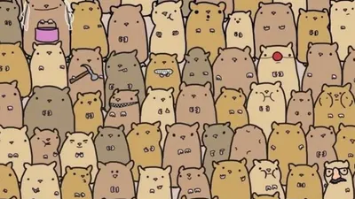 Tes Ilusi Optik: Coba Temukan Kentang di Antara Hamster