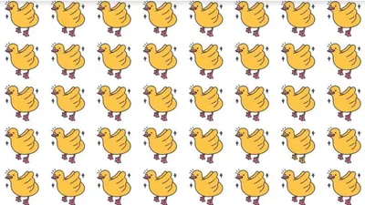 Tes Penglihatan: Temukan Bebek Paling Berbeda dari Gambar Ini,