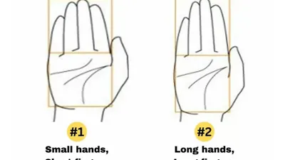 Mengungkap Kelemahan dan Kepribadian Seseorang dari Ukuran Tangan dan Jarinya