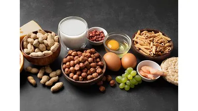 Ilustrasi Makanan
