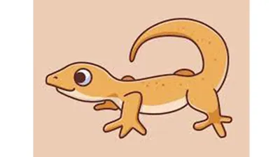 Ilustrasi cicak