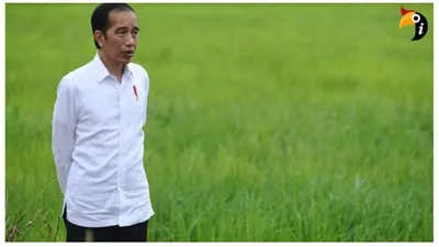 Mengenal ‘Food Estate’ Program Jokowi dan Prabowo yang Dianggap Gagal hingga jadi Sorotan dalam Debat