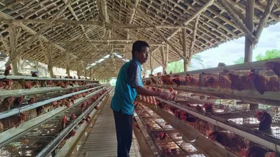 Sebelum mengajukan pinjaman KUR BRI diatas Rp100 juta, sebagai nasabah baru ada beberapa syarat penting yang harus dipenuhi.