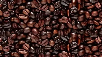 Tes Ilusi Optik: Temukan Wajah Orang di Antara Kumpulan Biji Kopi