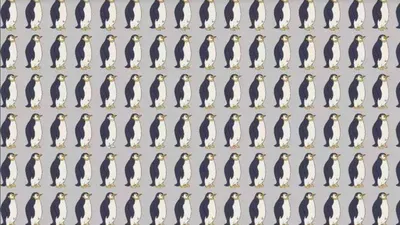 Tes IQ: Tentukan 1 Penguin yang Berbeda Diantara Banyaknya Penguin yang Lainnya