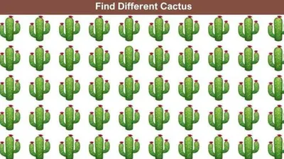 Tes Ilusi Optik: Temukan Satu Pohon Kaktus yang Berbeda pada Gambar Ini