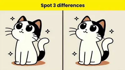 Tes Penglihatan: Coba Temukan 3 Perbedaan Pada Kucing Ini