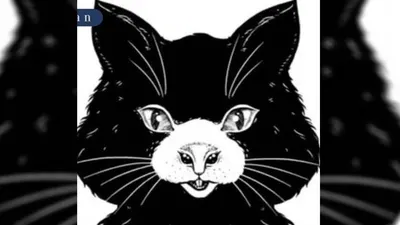 Tes Kepribadian: Mana Hewan yang Kamu Lihat Lebih Dulu, Kucing atau Tikus?