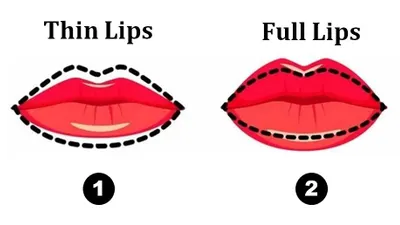 Tes Kepribadian: Bentuk Bibir Seseorang Ungkap Karakter Tersembunyi, Bibir Tipis Sosok Intelektual?